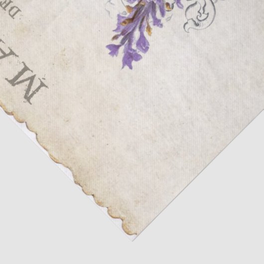Frans Roos Lavender Flower Gardener  Tissuepapier (Detail)