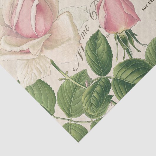  Frans Roze Roodbaard Collage Tissuepapier (Detail)