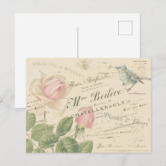  Frans Roze Roze Blauwe Vogelbijen Collage Briefkaart (Voorkant / Achterkant)