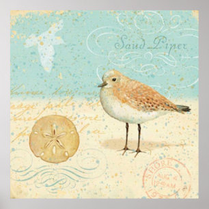 Frans Sand Piper Poster
