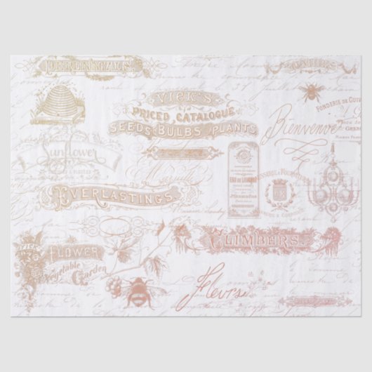 Frans  schrift Ephemera Typography Pink Tissuepapier (Voorkant)