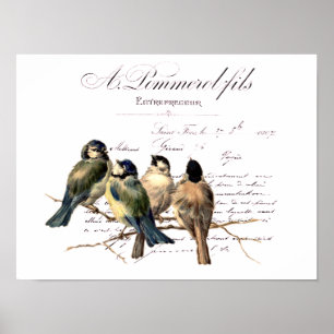 Frans schrijven en vogels Poster