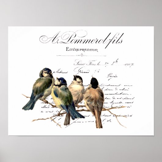 Frans schrijven en vogels Poster (Voorkant)