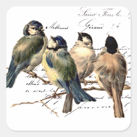 Frans schrijven en vogels Vierkante Sticker (Voorkant)