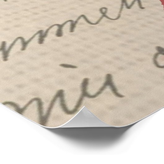 Frans Schrijven Paris Rooster typografie Poster (Hoek)