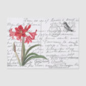 Frans Script  Amaryllis Bird Briefkaart Tissuepapier (Voorkant)