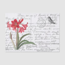 Frans Script  Amaryllis Bird Briefkaart Tissuepapier