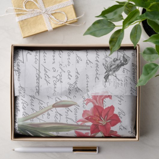 Frans Script  Amaryllis Bird Briefkaart Tissuepapier (Geschenk)