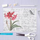 Frans Script  Amaryllis Bird Briefkaart Tissuepapier (Craft)