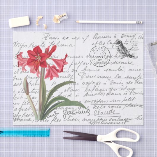 Frans Script  Amaryllis Bird Briefkaart Tissuepapier (Craft)