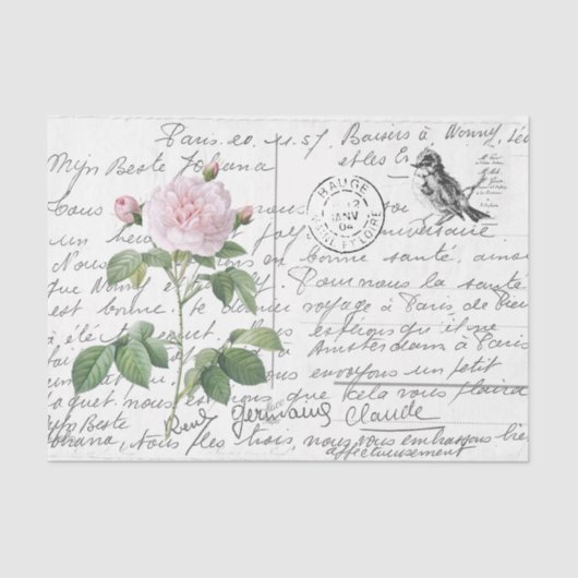Frans Script Blush Roos Bird Briefkaart Tissuepapier (Voorkant)