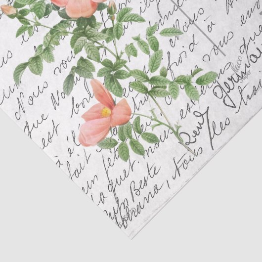 Frans Script  Briar Roos Bird Briefkaart Tissuepapier (Detail)