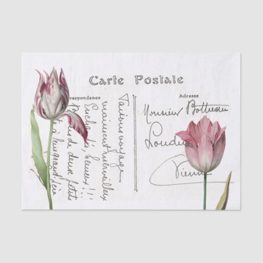 Frans Script Briefkaart Roze Tulp Bloem Decoupage Tissuepapier (Voorkant)