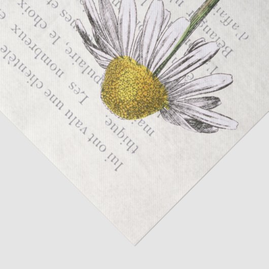 Frans script Daisy Flower  Text Decoupage Tissuepapier (Detail)