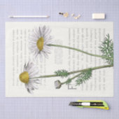 Frans script Daisy Flower Text Decoupage Tissuepapier (Craft)