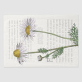 Frans script Daisy Flower  Text Decoupage Tissuepapier (Voorkant)