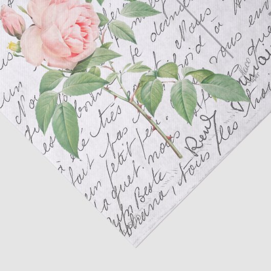 Frans Script  Fragrant Roos Bird Briefkaart Tissuepapier (Detail)