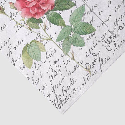 Frans Script Frans Roos Bird Briefkaart Tissuepapier (Detail)