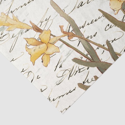 Frans Script Geel Daffodilpapier Tissuepapier (Detail)