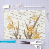 Frans Script  Geel Daffodilpapier Tissuepapier (Craft)