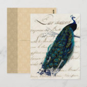 Frans Script Peacock Briefkaart (Voorkant / Achterkant)