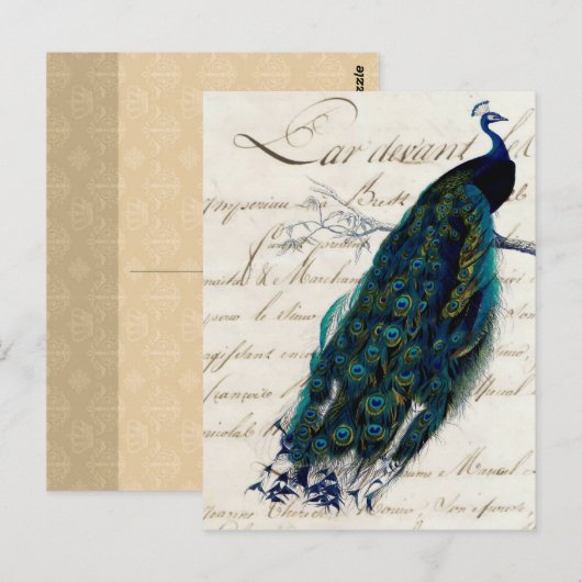 Frans Script Peacock Briefkaart (Voorkant / Achterkant)
