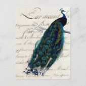 Frans Script Peacock Briefkaart (Voorkant)