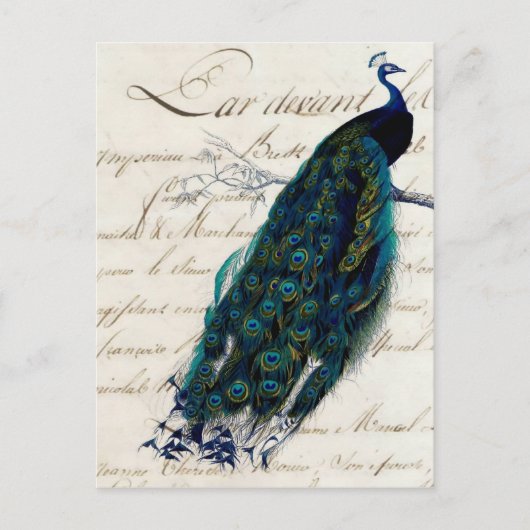 Frans Script Peacock Briefkaart (Voorkant)