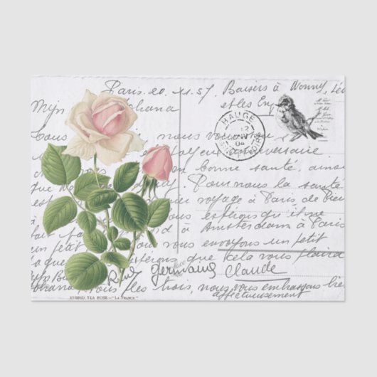 Frans Script  Pink Tea Roos Bird Briefkaart Tissuepapier (Voorkant)