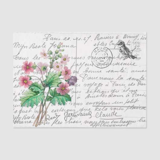 Frans Script Primrose Bird Briefkaart Tissuepapier (Voorkant)