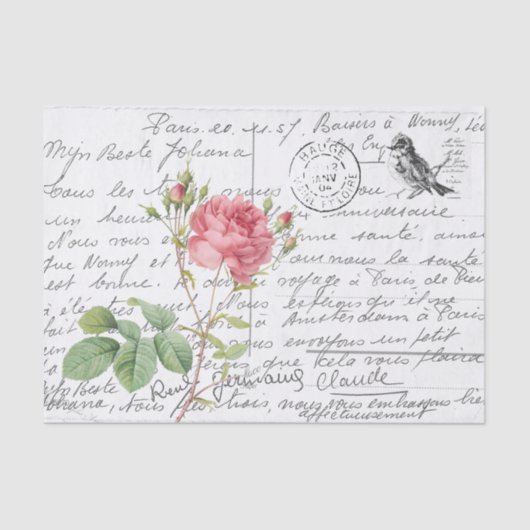 Frans Script Roze Cumberland Roos Bird Briefkaart Tissuepapier (Voorkant)