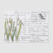 Frans Script  Snowdrop Bird Briefkaart Tissuepapier (Voorkant)