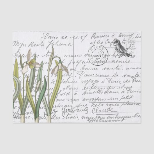 Frans Script  Snowdrop Bird Briefkaart Tissuepapier (Voorkant)