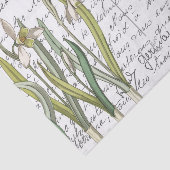 Frans Script  Snowdrop Bird Briefkaart Tissuepapier (Detail)