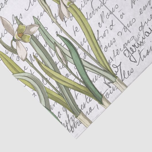 Frans Script  Snowdrop Bird Briefkaart Tissuepapier (Detail)