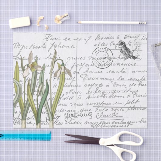 Frans Script  Snowdrop Bird Briefkaart Tissuepapier (Craft)