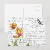 Frans Script  Tulip Bird Briefkaart (Voorkant / Achterkant)