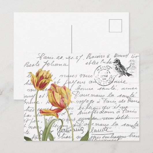 Frans Script  Tulip Bird Briefkaart (Voorkant / Achterkant)