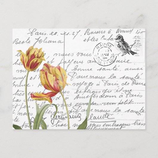 Frans Script  Tulip Bird Briefkaart (Voorkant)