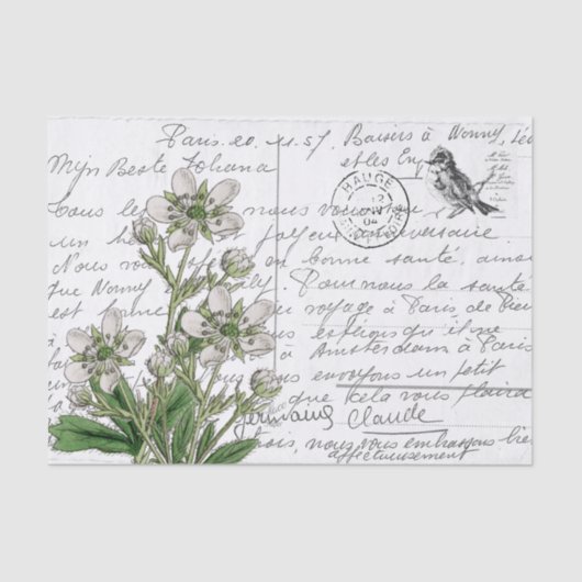 Frans Script White Flower Bird Briefkaart Tissuepapier (Voorkant)