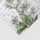 Frans Script White Flower Bird Briefkaart Tissuepapier (Detail)