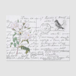 Frans Script White Rose Bird  Briefkaart Tissuepapier