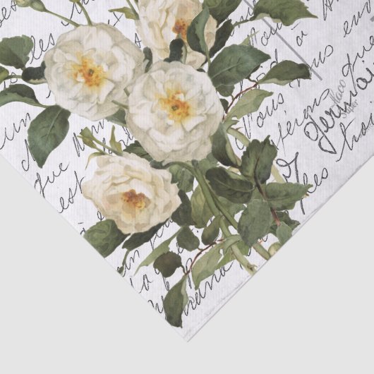 Frans Script  White Rose Briefkaart Tissuepapier (Detail)