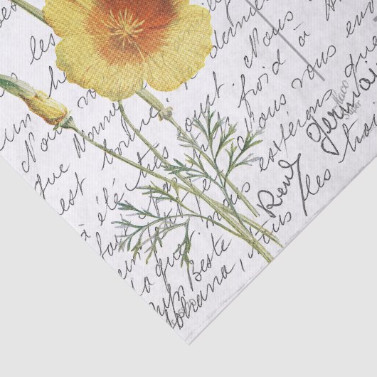 Frans Script  Yellow Poppy Bird Briefkaart Tissuepapier (Detail)