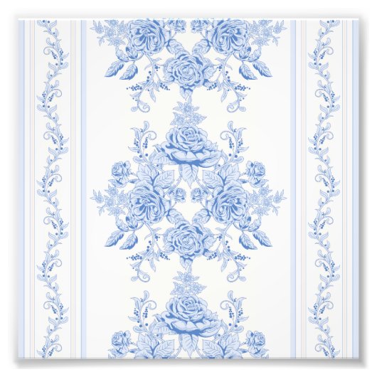 Frans, shabbykic, , bleek blauw, wit, land foto afdruk (Voorkant)