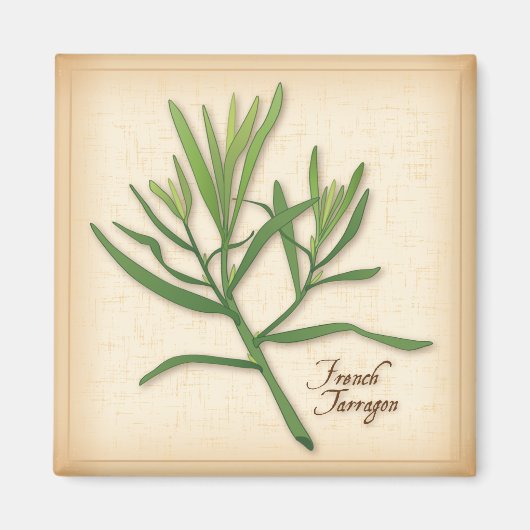 Frans Tarragon Herb Magneet (Voorkant)