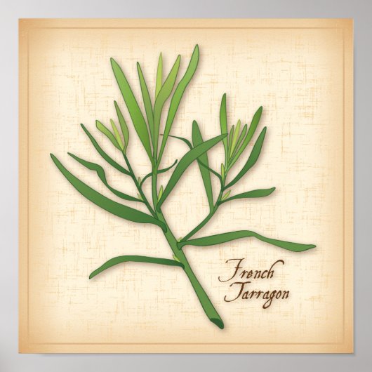 Frans Tarragon Herb Poster (Voorkant)