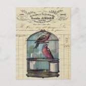  Frans Victoriaans Tortelduifjes voor vogelpest Briefkaart (Voorkant)