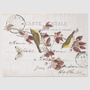 Frans Vintage Carte Postale Bird Butterfly Leaf Tissuepapier