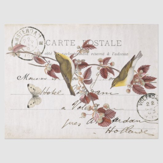 Frans Vintage Carte Postale Bird Butterfly Leaf Tissuepapier (Voorkant)